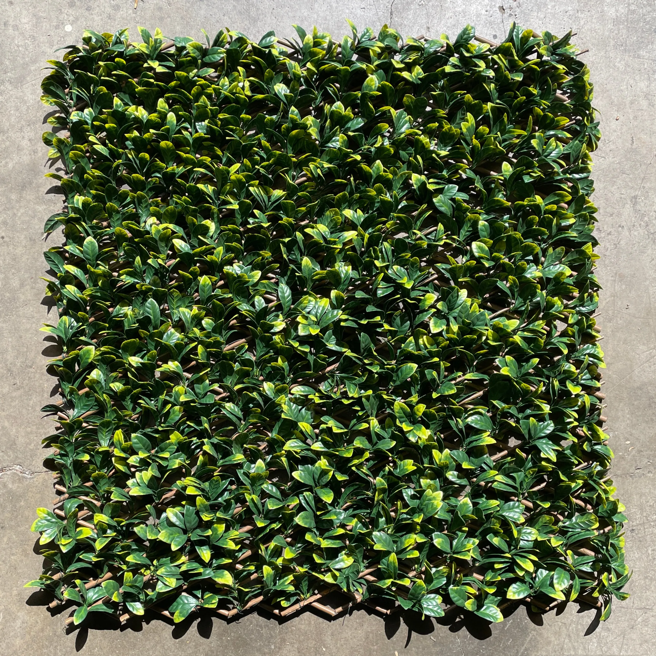 Artificial Laurel Trellis | Outdoor Plant