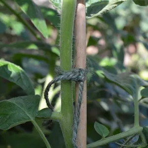 Biodegradable Jute Twine