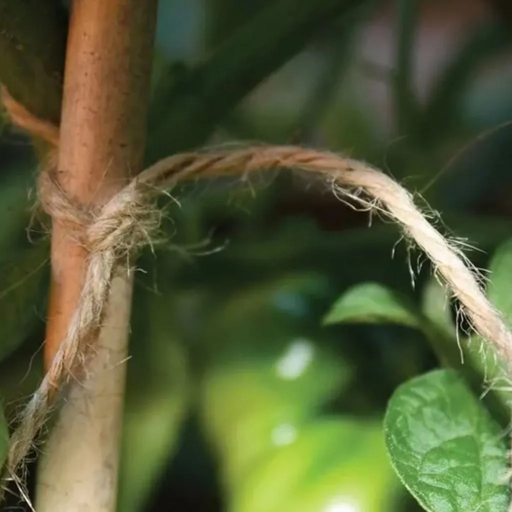 Biodegradable Jute Twine