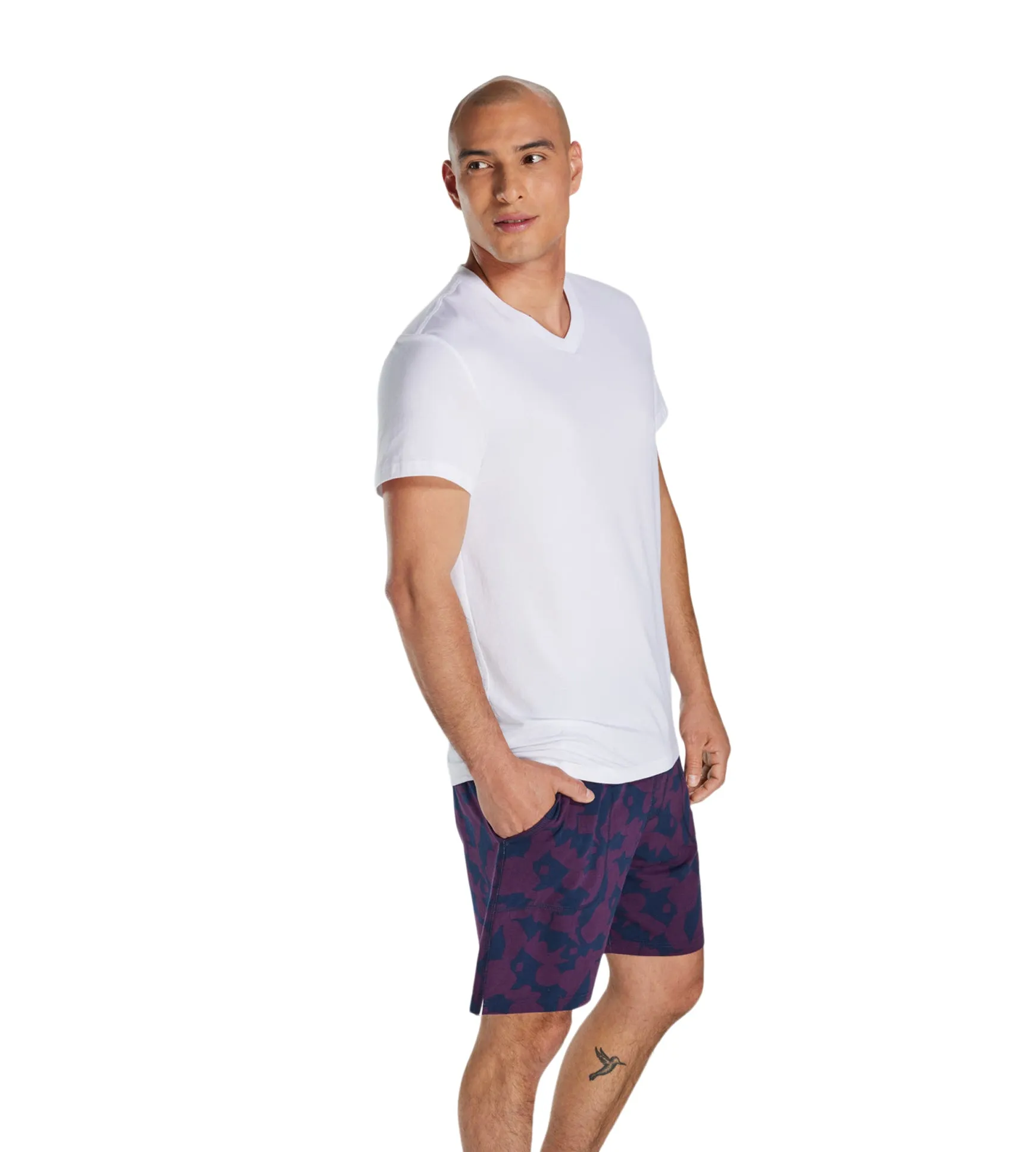 Classic Fit V-Neck 2 pack