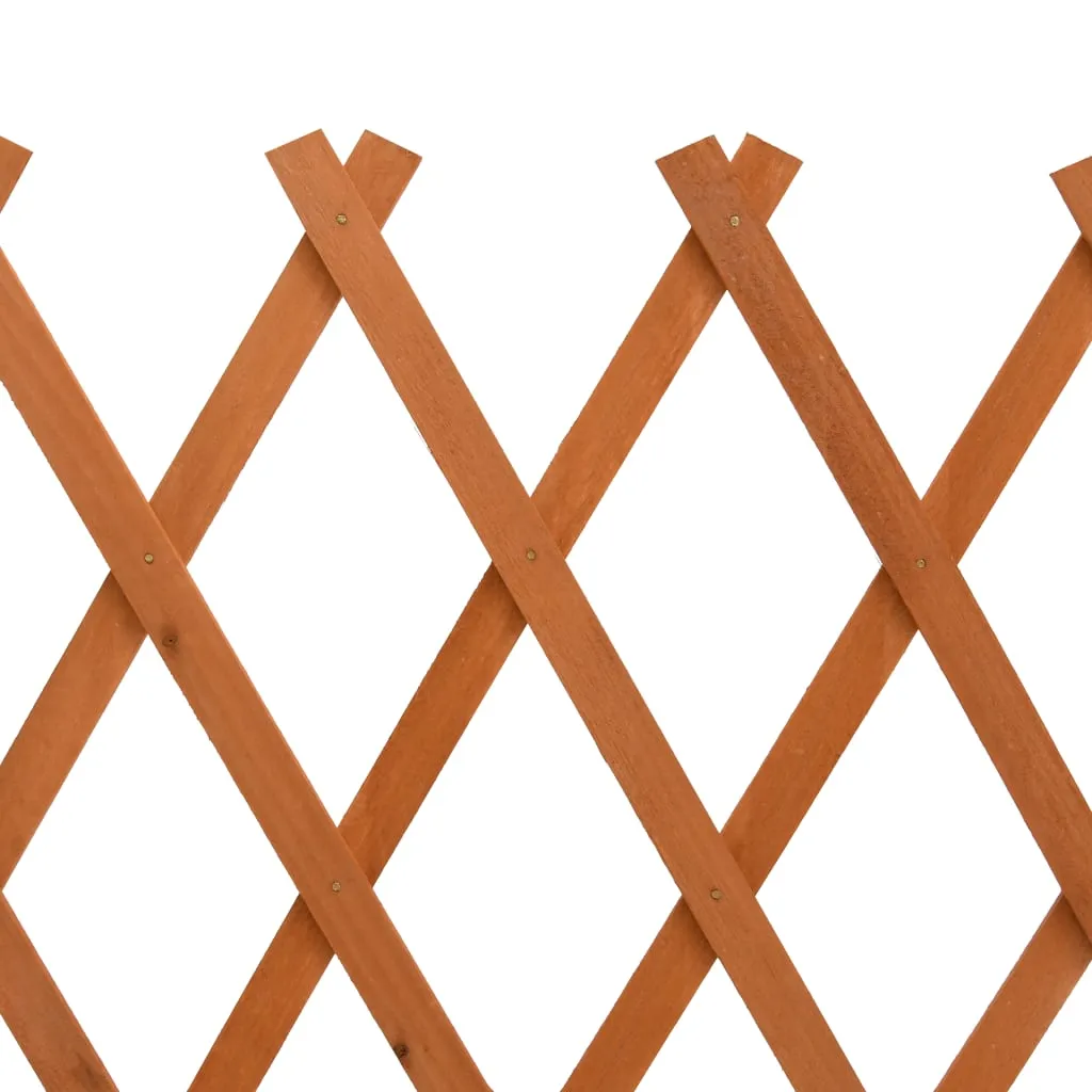 Garden Trellis Fence Orange 120x60 cm Solid Firwood