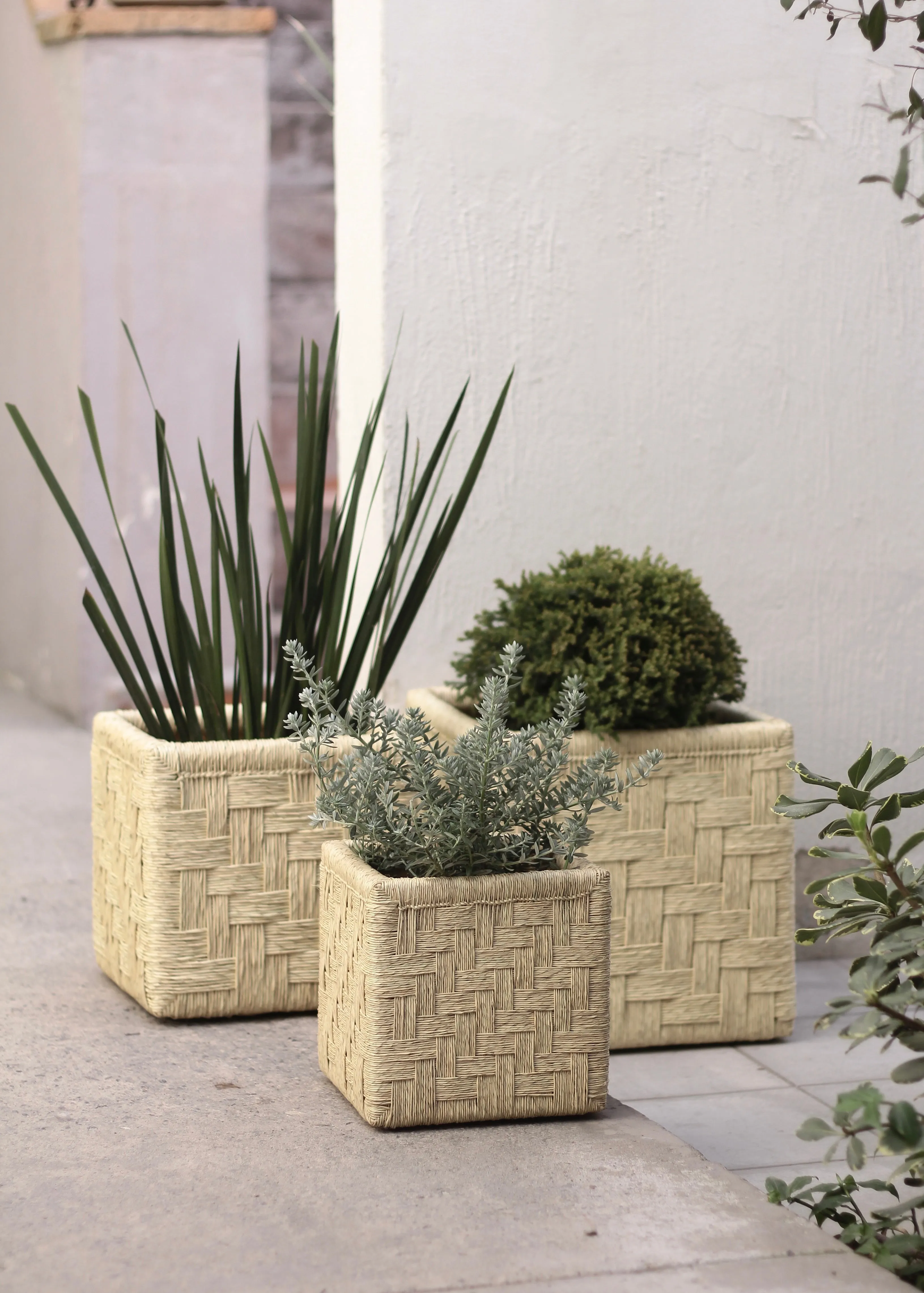 Set of 3 Woven Palm Cubes