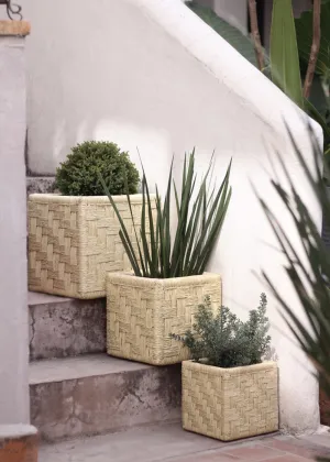 Set of 3 Woven Palm Cubes