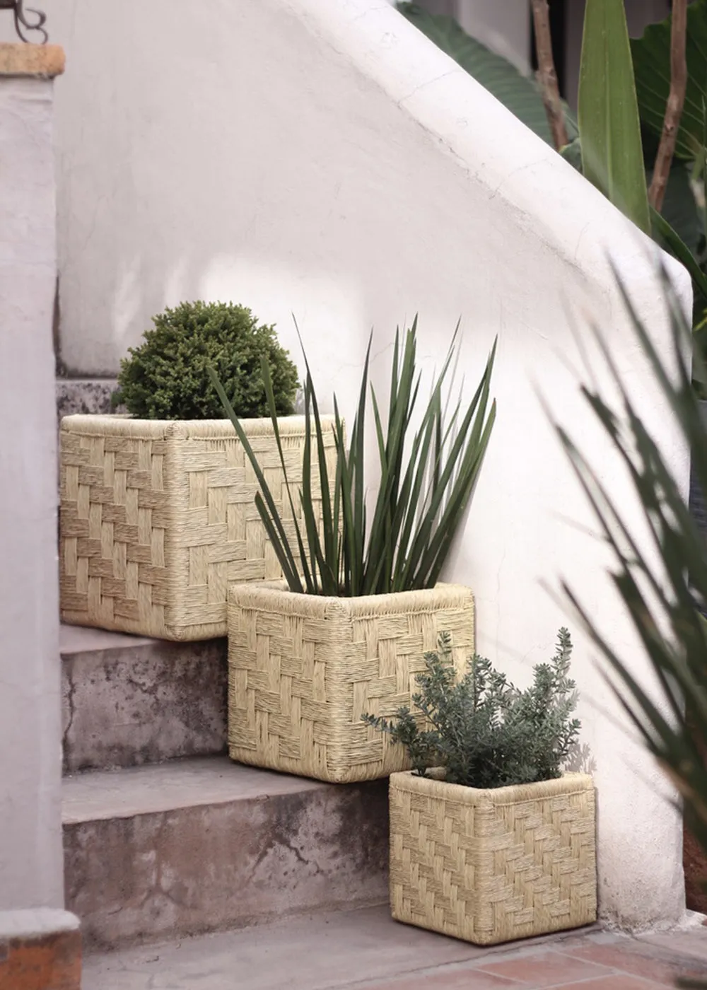 Set of 3 Woven Palm Cubes
