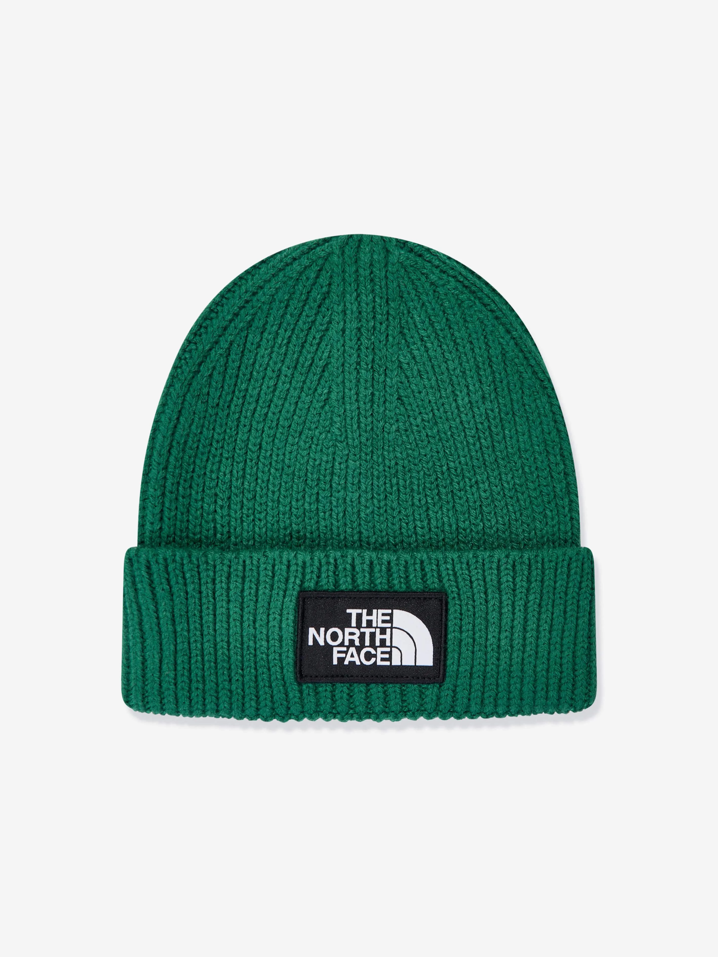 The North Face Kids TNF Box Logo Cuffed Benaie in Green