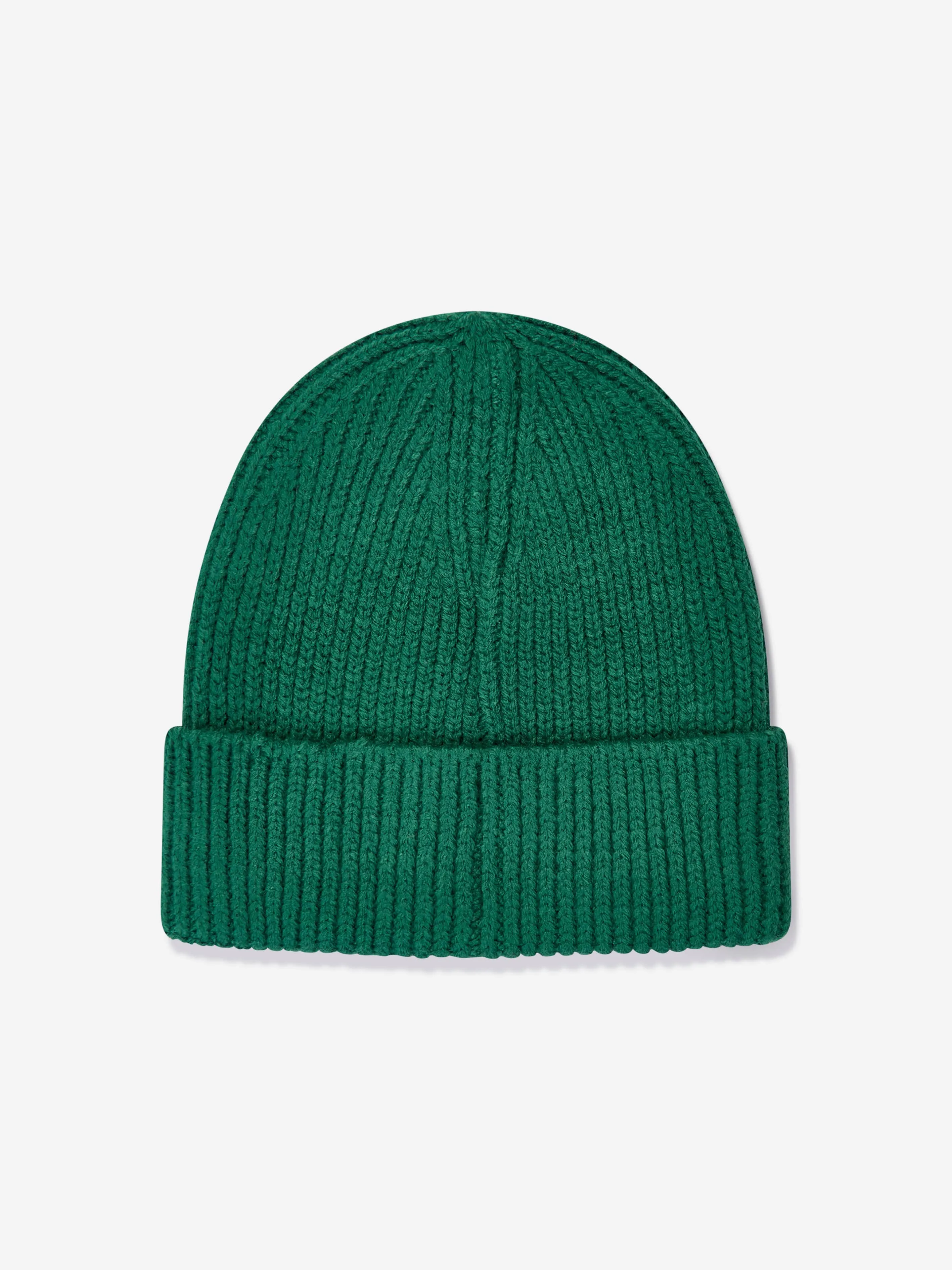 The North Face Kids TNF Box Logo Cuffed Benaie in Green
